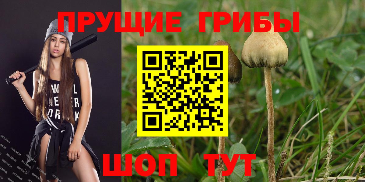 Галлюциногенные грибы Psilocybe Белебей